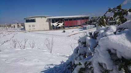 TTU sport center