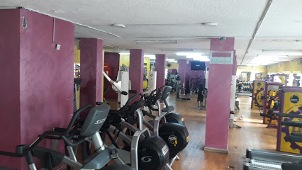 Ideal Body Gym