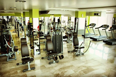 Wellness Way gym