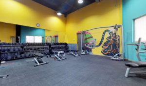 Trainers Gym