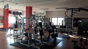 مهوس العضلات